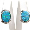 Silver Earrings with Inlay Created Opal